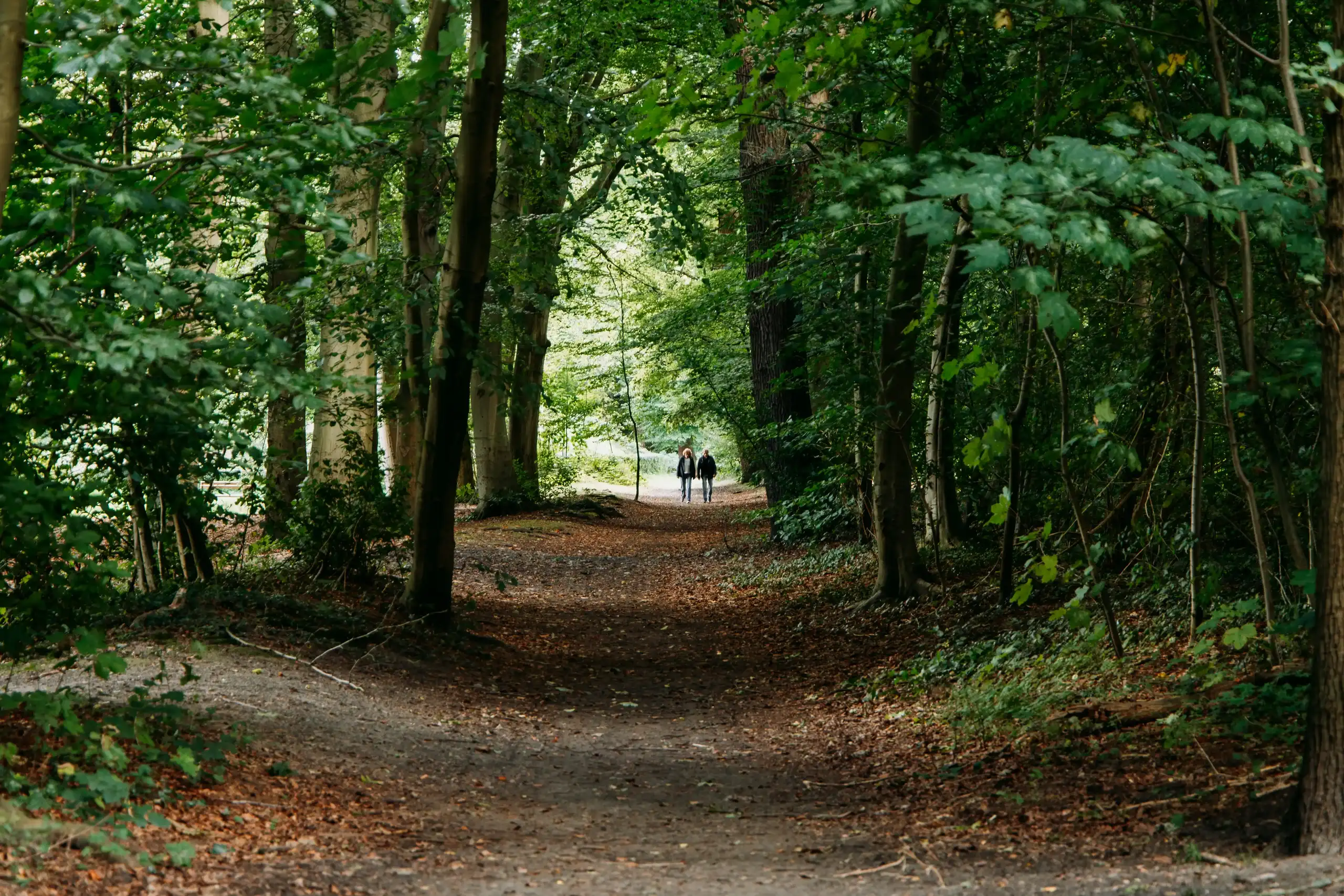 Mensen wandelend in Heilooërbos